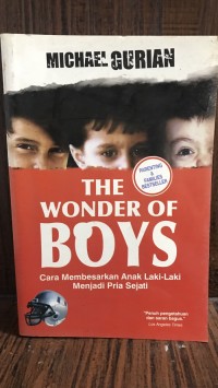 Image of THE WONDER OF BOYS