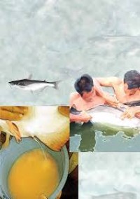 Image of PETUNJUK TEKNIS PEMBENIHAN IKAN PATIN INDONESIA PANGASIUS DJAMBAL